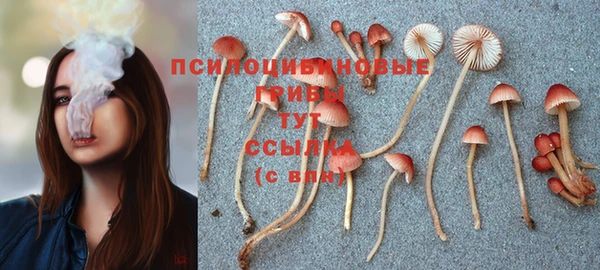 крисы Володарск