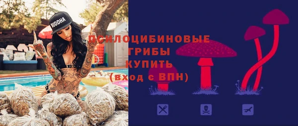 крисы Володарск